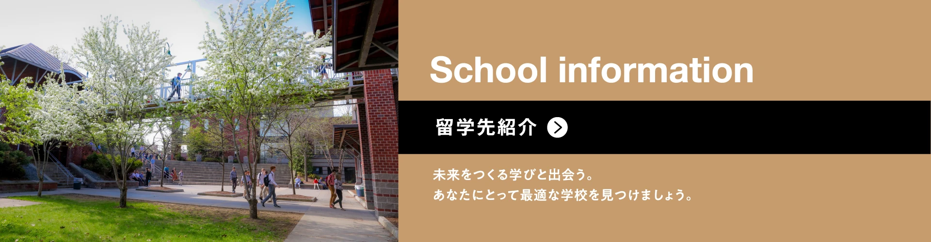 留学先紹介