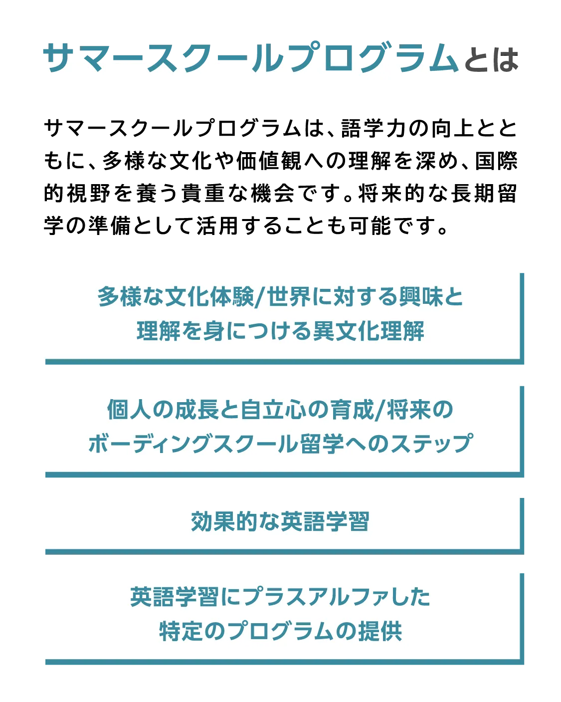 サマースクールプログラムとは サマースクールプログラムは、語学力の向上とともに、多様な文化や価値観への理解を深め、国際的視野を養う貴重な機会です。将来的な長期留学の準備として活用することも可能です。