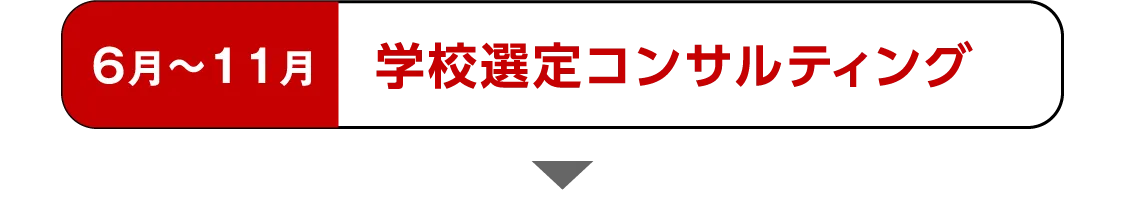 6月〜11月 学校選定コンサルティング