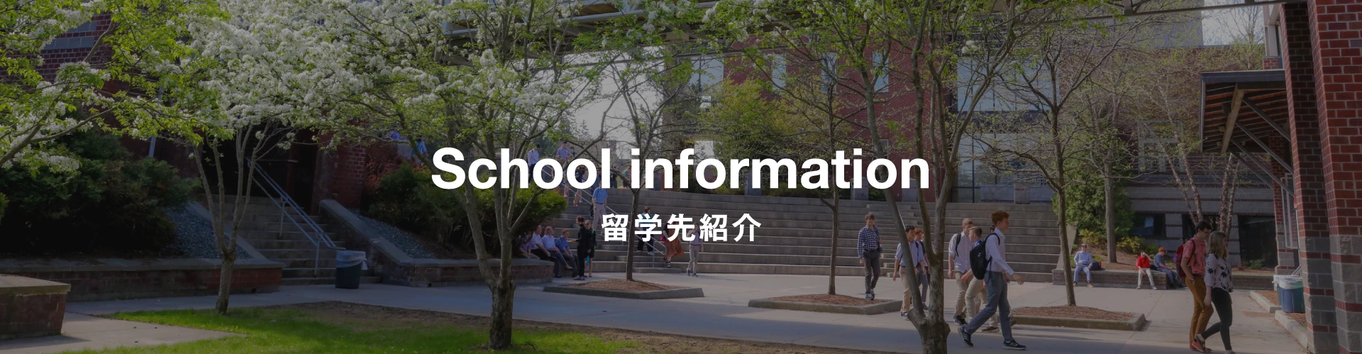 留学先紹介